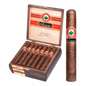 JOYA ANTANO 1970 ROBUSTO GRANDE