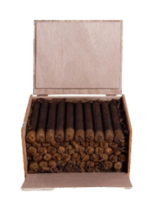 GRAND HABANO  CHAGGY   DWARF MADURO  5X60