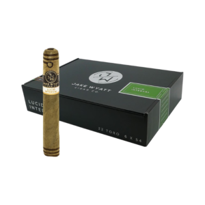 JAKE WYATT Lucid Interval