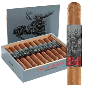Chillian Moose Robusto