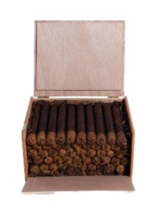 GRAND HABANO  CHAGGY   DWARF MADURO  5X60