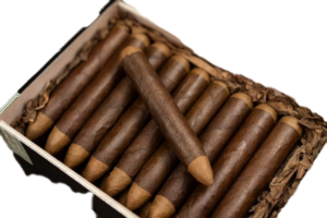 PERSIAN KING 60 HONDORIAN